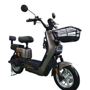 Электровелосипед Fada Classi 1000W