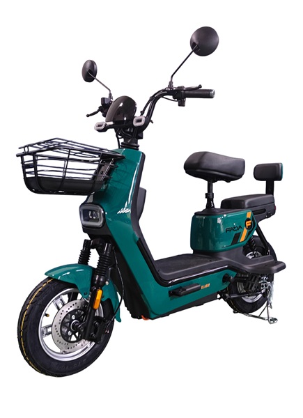Электровелосипед Fada Classi 1000W - Image 8