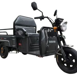 Грузовой электротрицикл FADA МУРАХА 1000W