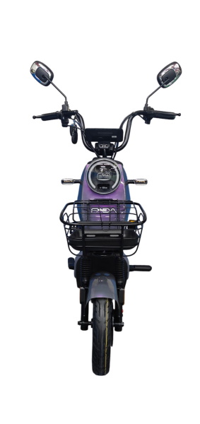 Электровелосипед FADA Ritmo III 800W - Image 6