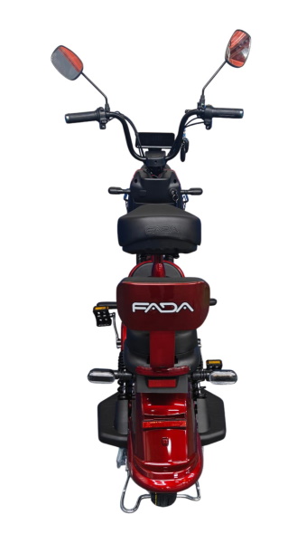 Электровелосипед FADA Ritmo III 800W - Image 22