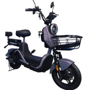 Электровелосипед FADA Ritmo III 800W