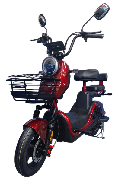Электровелосипед FADA Ritmo III 800W - Image 9