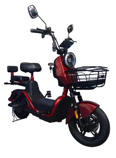 Электровелосипед FADA Ritmo III 800W - Image 8
