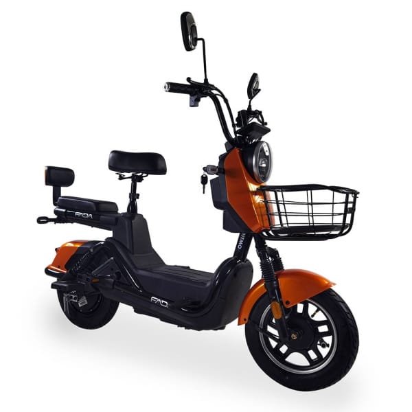 Электровелосипед FADA Ritmo III 800W - Image 13